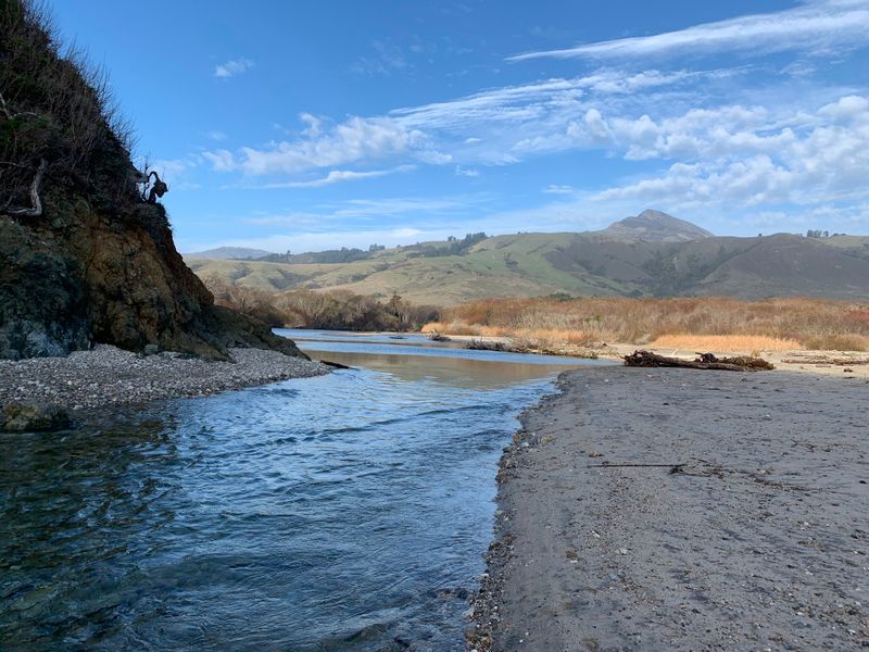 Andrew Molera River Mouth Meander