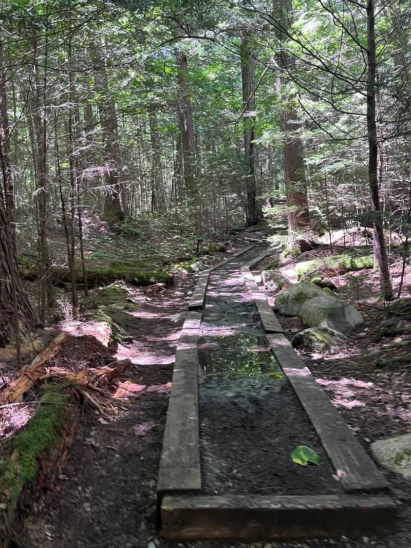 Gentle Terrain That’s Friendly for All Ages