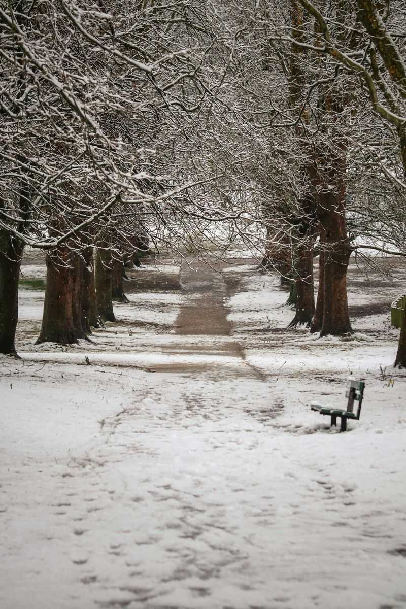 Texas at the Forefront of Emerging Winter Threat