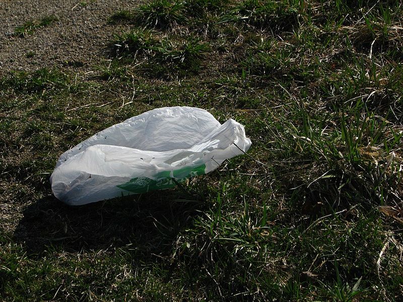 Plastic Grocery Bags