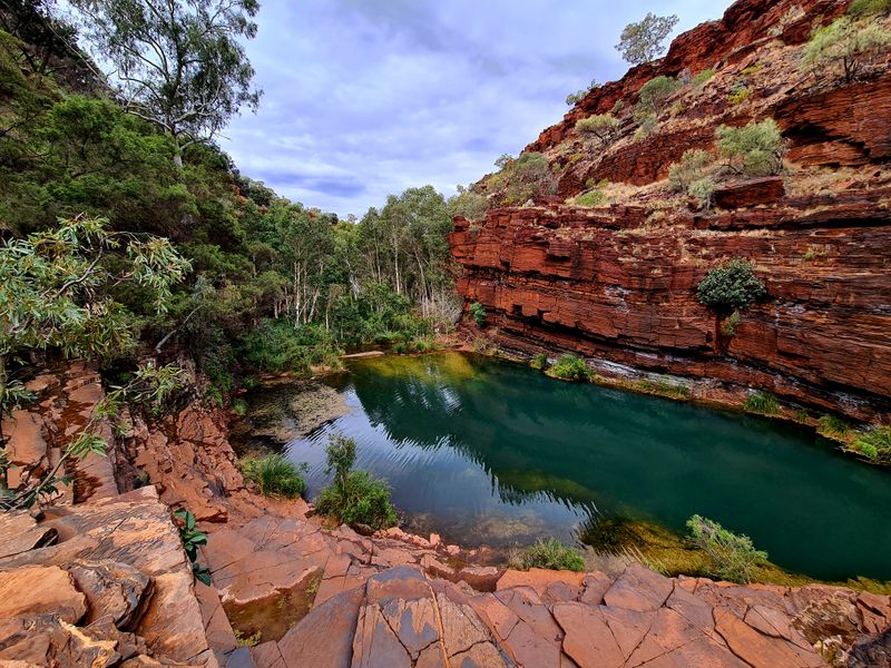 The Study Was Published in a Leading Scientific Journal