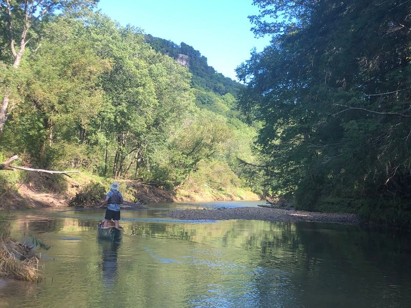 Wildlife You Will Actually See