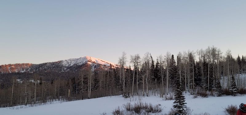 Family-friendly Winter Fun