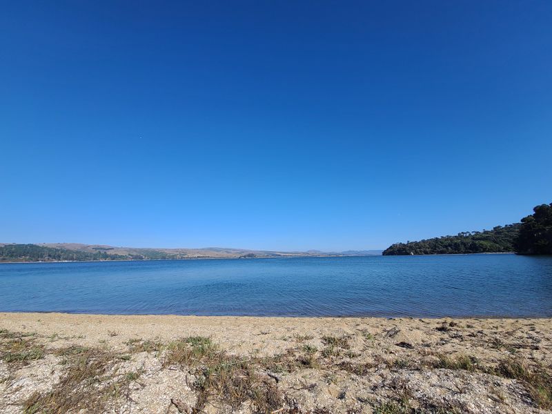 Indian Beach Surf and Driftwood