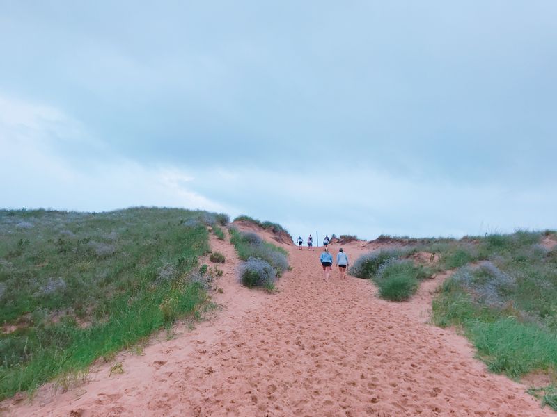 Wildlife Encounters and Etiquette