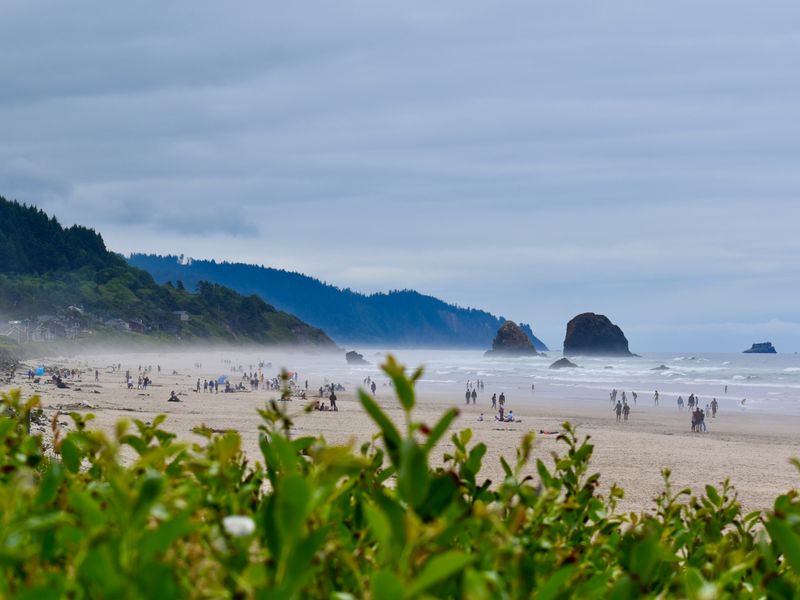 Family-Friendly Beach Day Plan
