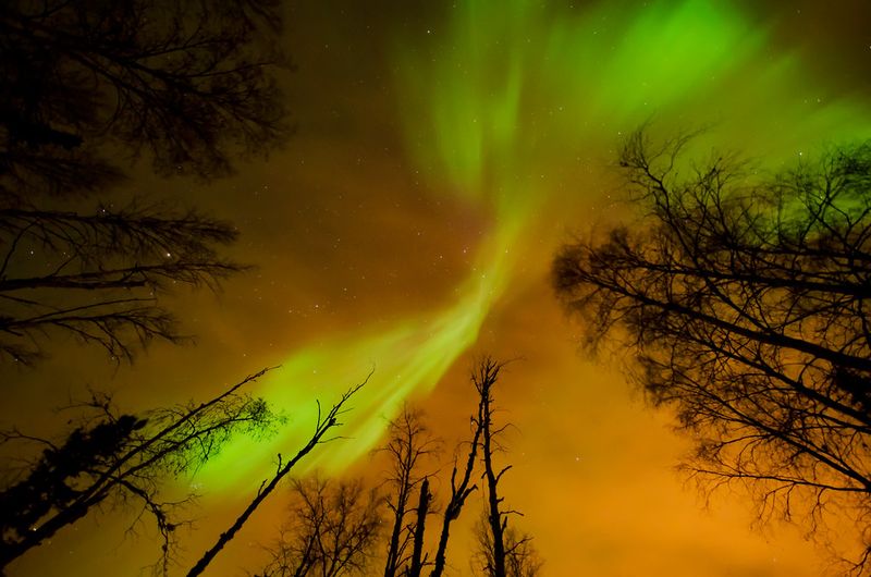 Power grids are the 'serious' risk area but impacts vary by geography and preparedness