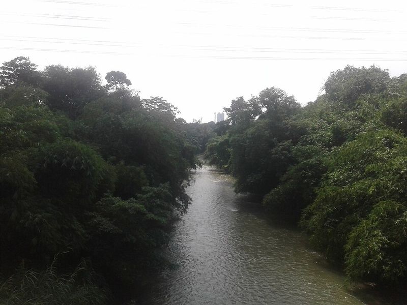 Ciliwung Delta