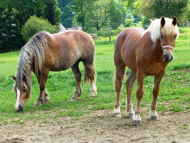 Seasonal Weather and Best Times to Go