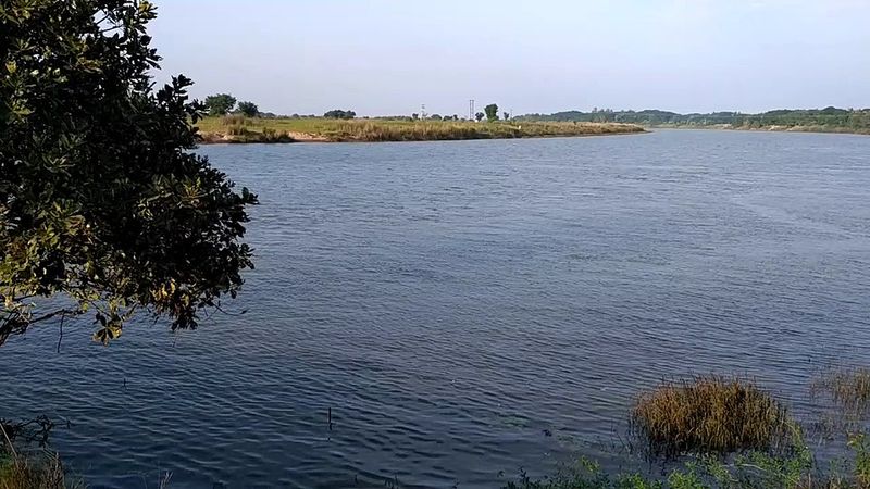 Brahmani Delta