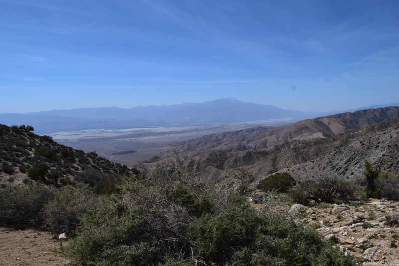 Gateway to Joshua Tree National Park