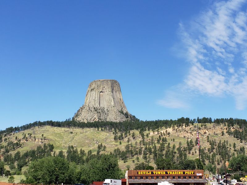 Animals Use It Like a Skyscraper