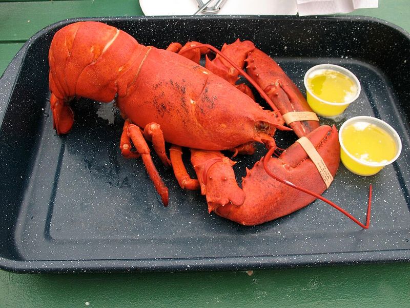Lobster