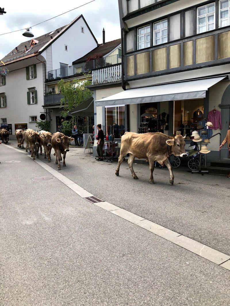 Appenzell, Switzerland — Pastoral Charm Amid Quiet Fields