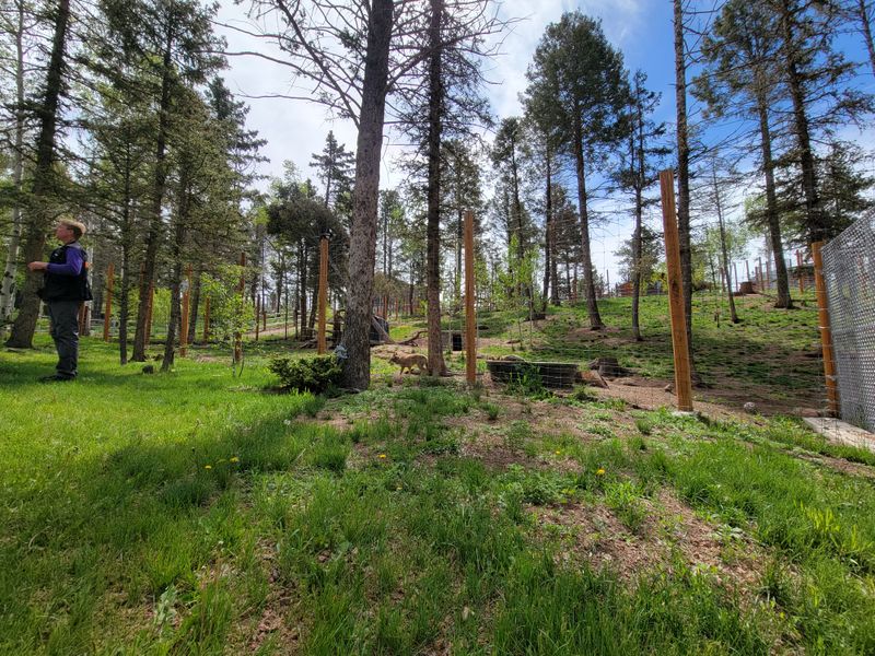 Education With A Purpose