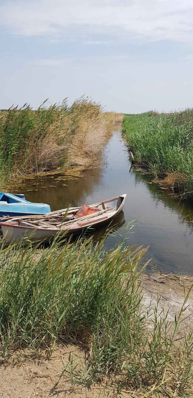 Fragmented into Smaller Lakes