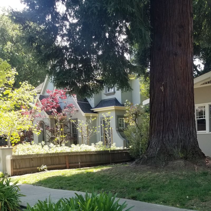 Palo Alto, California