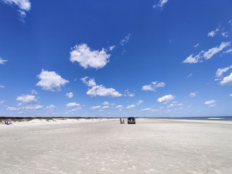 Cumberland Island, Georgia