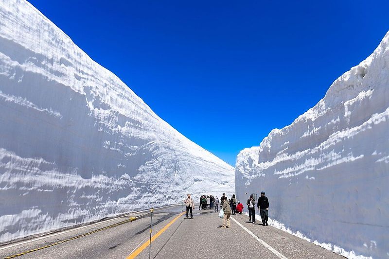 Toyama and the Hokuriku coast have wet snow that stacks like concrete