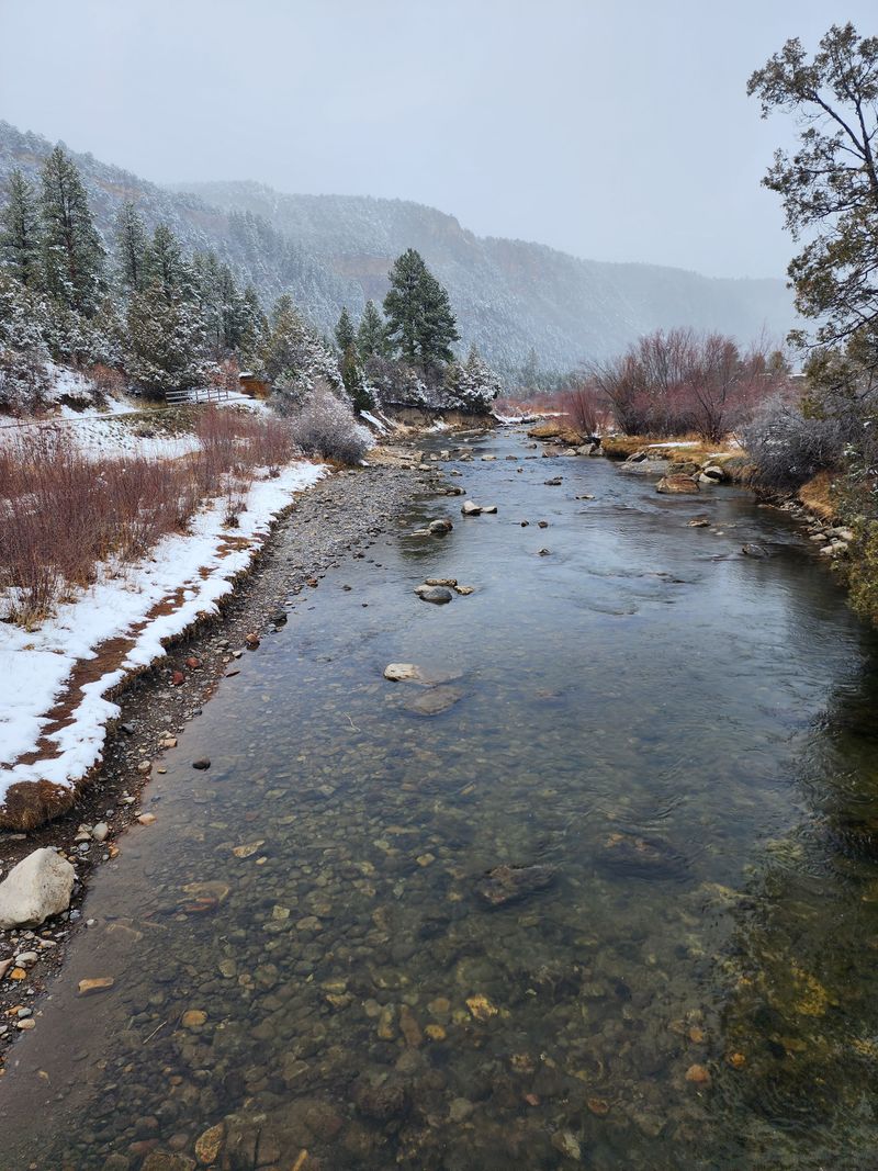 Winter Quiet and Snowlight
