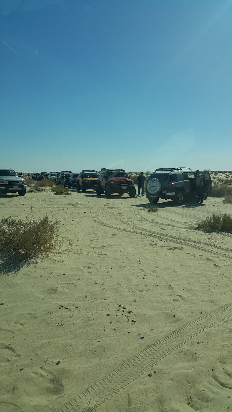 UAE mega-project demand