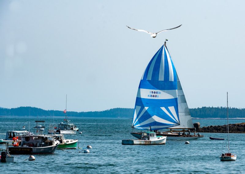 The Perfect Base for Actually Relaxing (What a Concept)