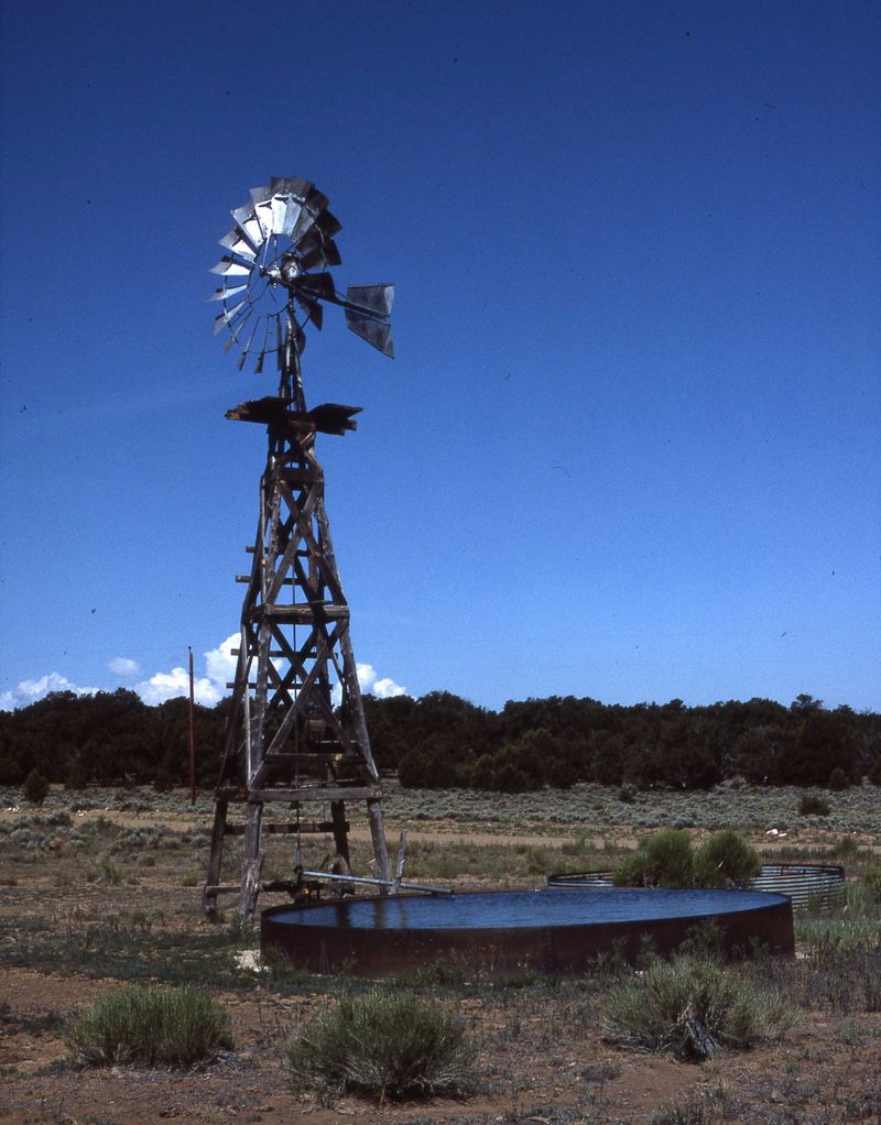 Local Ranching Roots