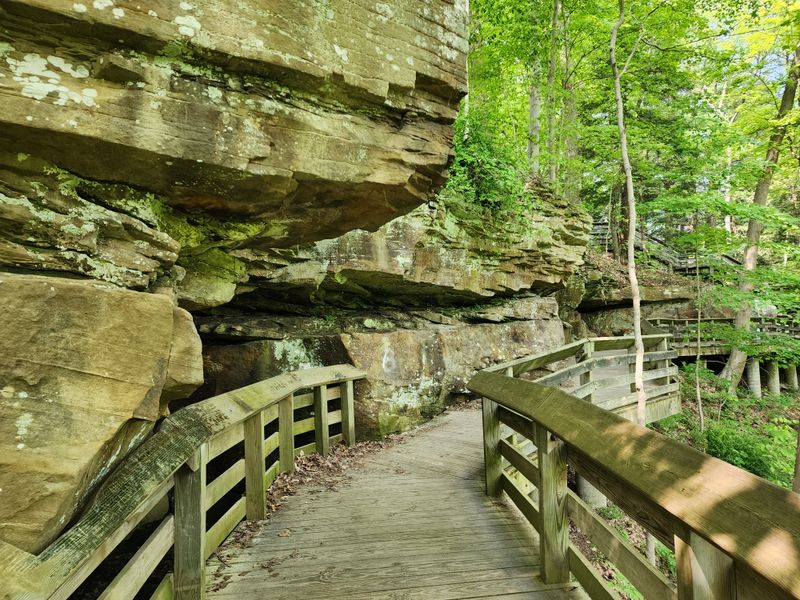 Accessibility and Easy Walks