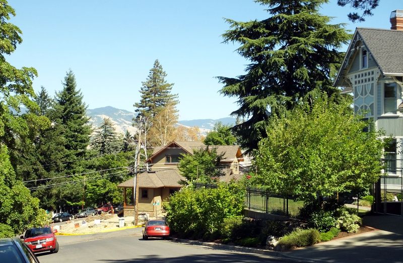 Housing Snapshot and Neighborhood Feel