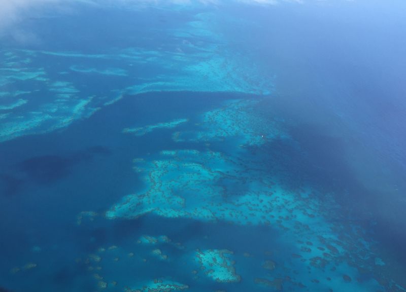 Lake Whillans – Home to Life Below the Ice