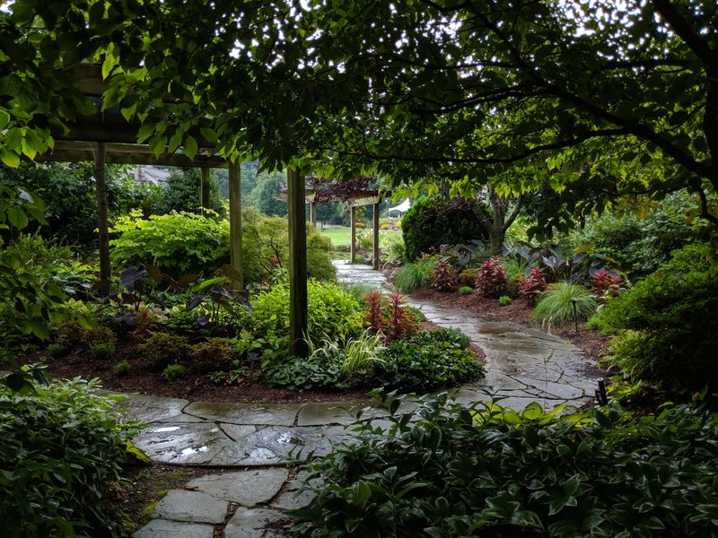 Photography Spots and Tips