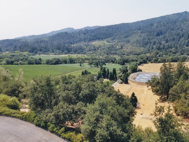 Sustainable Farming Partnerships