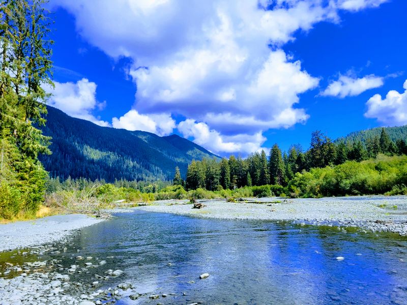Hoh River Blue-Gray Braids
