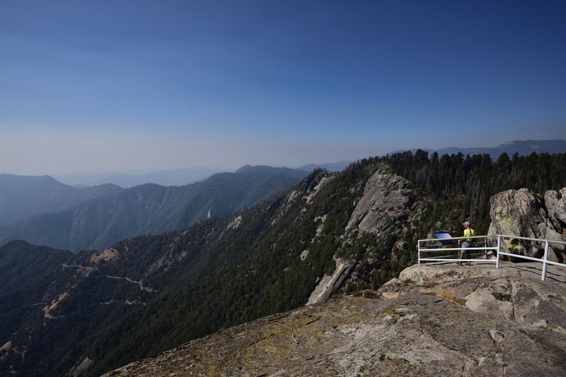 Spot Wildlife Along Trails