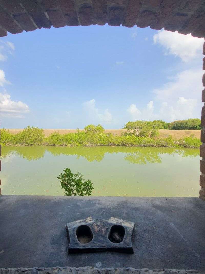 Wildlife You Might See