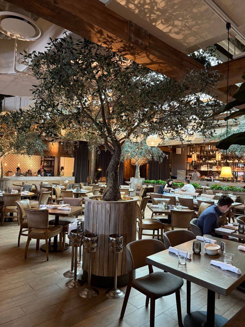 Design Notes - Sunlit Sanctuary