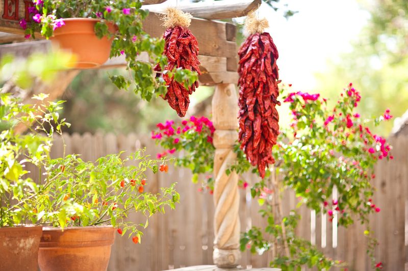 Take-Home Sauces and Retail Shop