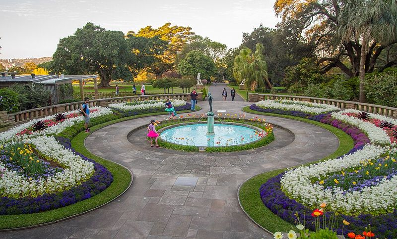 Spend golden afternoon hours in the Royal Botanic Garden