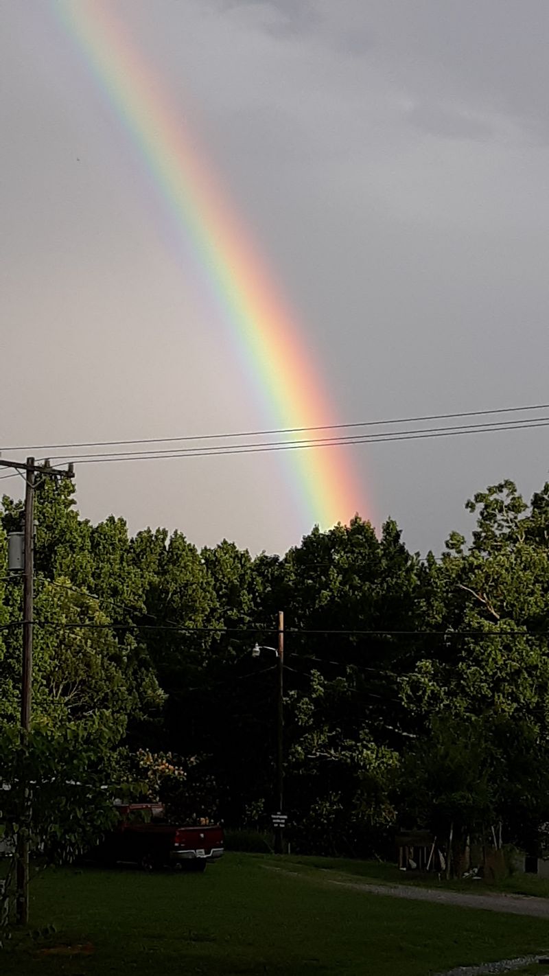 Seasonal Festivals and Community Events