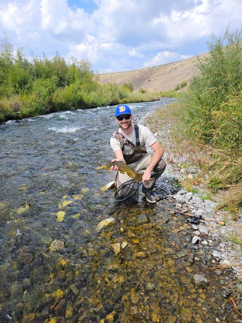 Why Ennis Beats The Crowds