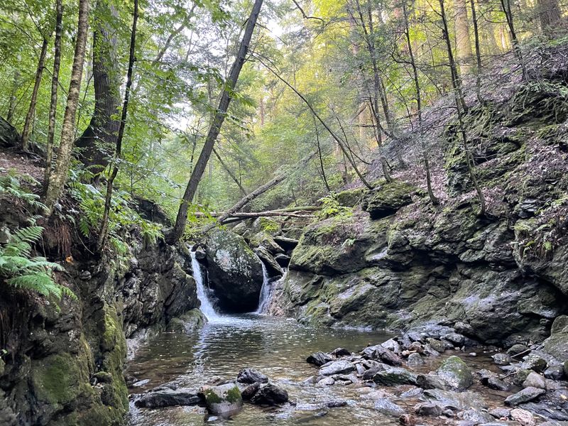 Quiet Nature Reserves — Silence Among Trees and Peaks