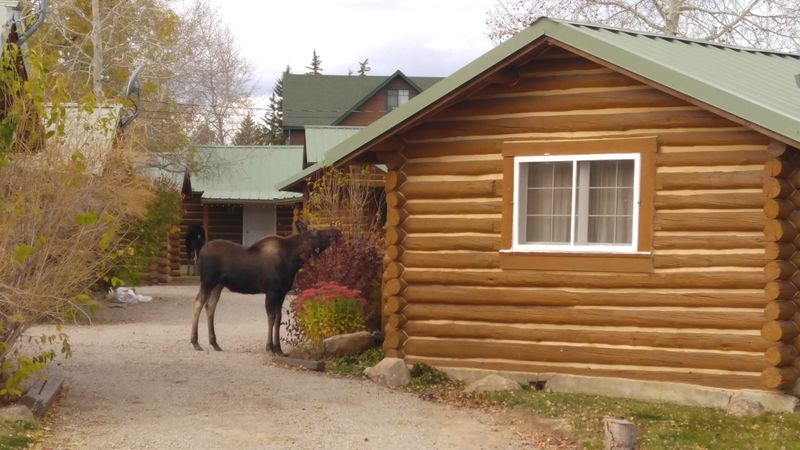 Hunting And Outfitting Heritage