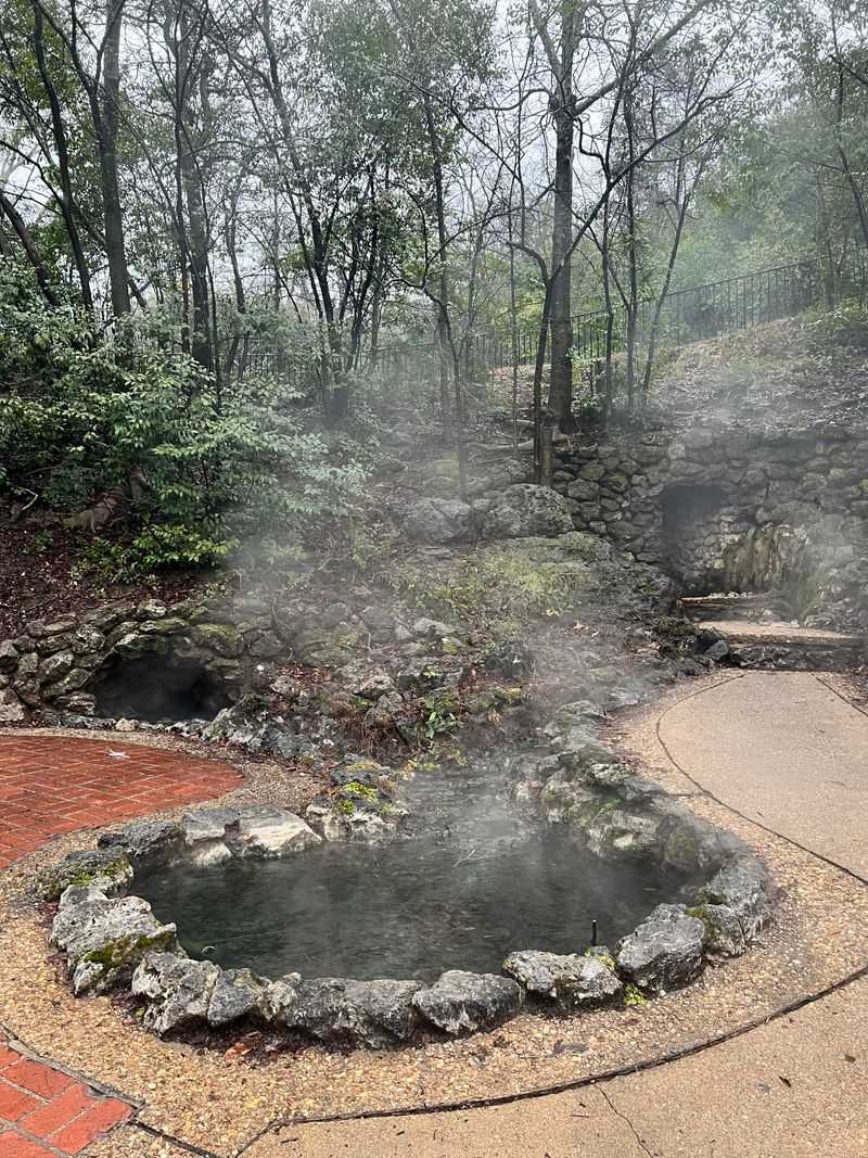 Visit the Display Springs + the Hot Water Cascade (the most photogenic thermal features)