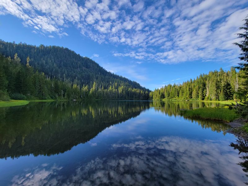 Lake Crescent Mirror Mornings