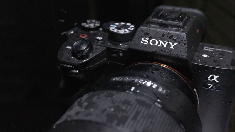 Sony α7S III — Ultimate Low-Light Champion