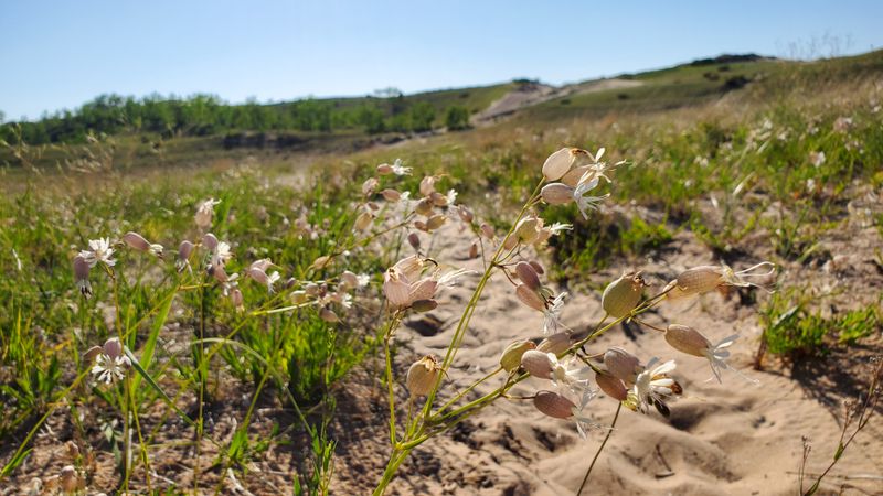 Finding the Best Photo Angles