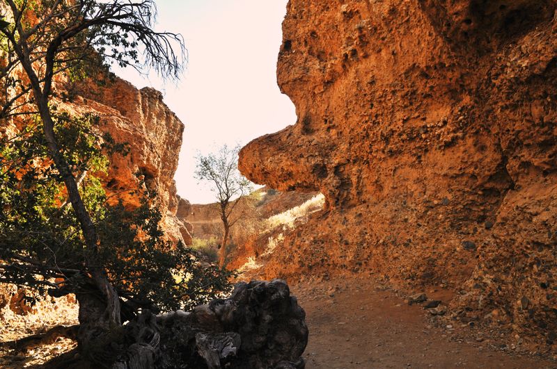Namibia — Deserts, Wildlife and Silent Wilderness