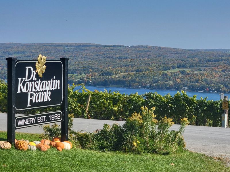 Birthplace of Vinifera Success in the North