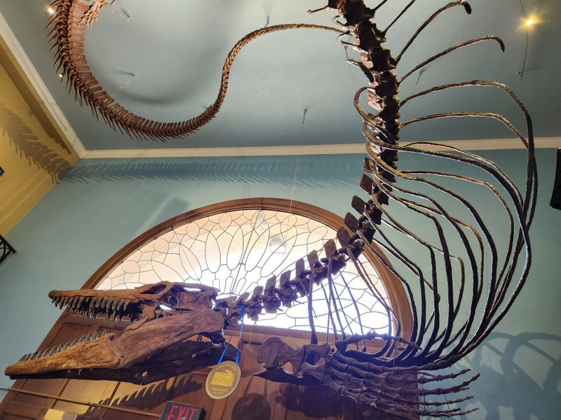 KU Natural History Museum