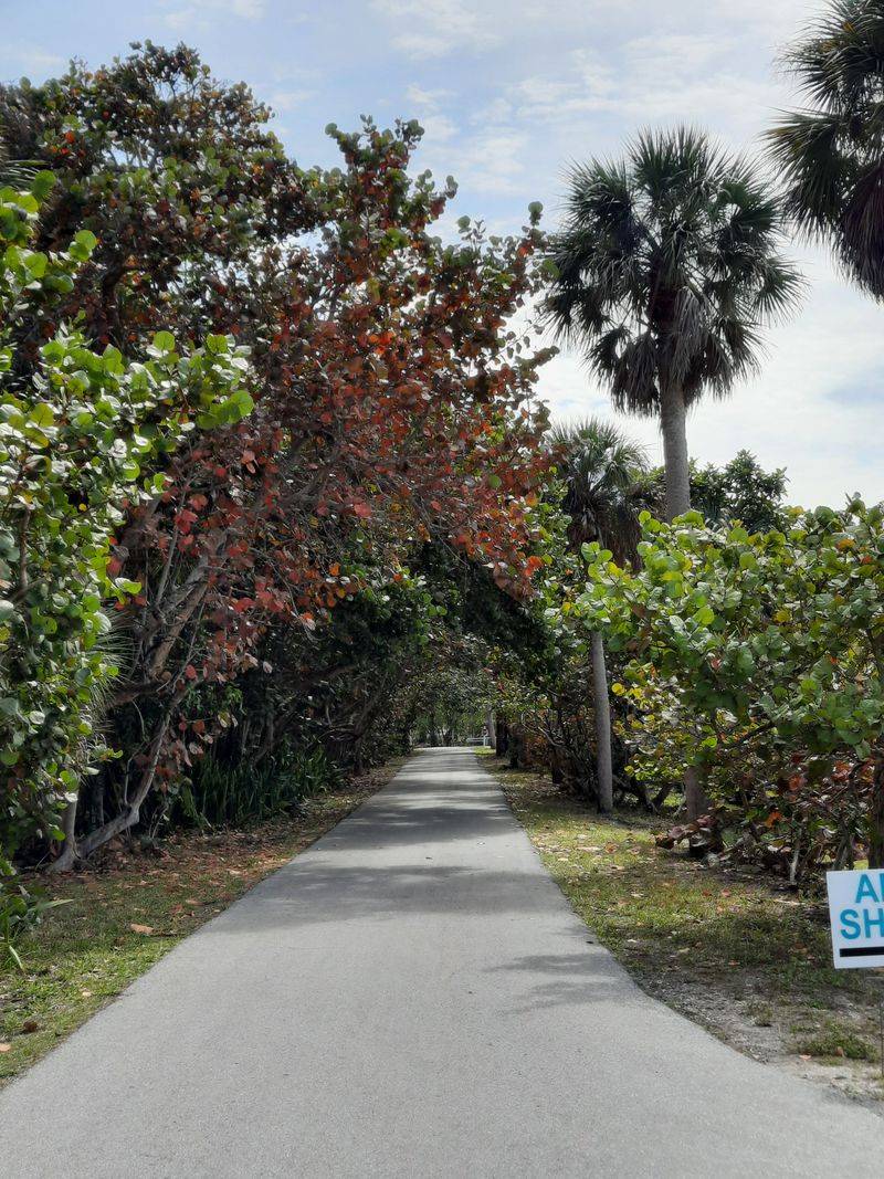 Boca Grande Bike Path – Scenic trail perfect for biking, walking, or renting a golf cart.